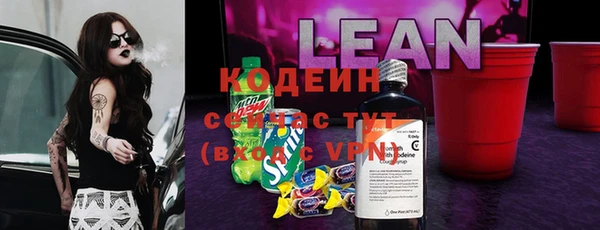 таблы Бородино